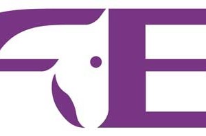 FEI-International-Federation-for-Equestrian-Sports-logo